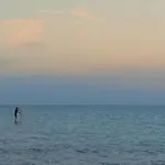 Rey-piscina